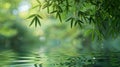 Serene Reflections: Bamboo Leaves in Rendered Water Royalty Free Stock Photo