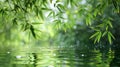 Serene Reflections: Bamboo Leaves in Rendered Water Royalty Free Stock Photo