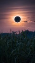 Stunning photo captures solar eclipse in afternoon sky