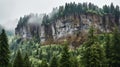 Rainy Weather Photo Of Crag With Deciduous Trees And Firs