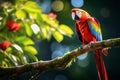 Intense Observation: Scarlet Macaw Amidst Colorful Parrot Flock in Lush Rainforest Royalty Free Stock Photo