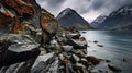 Majestic Fjord: A Dark And Gritty Landscape With Sharp Boulders And Rocks