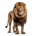Stunning Photo-realistic Adult Male Lion Artwork With Distinctive Character Design