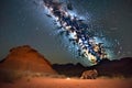 Brown Hyena Den Under the Milky Way