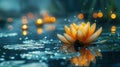 Miraculous Lotus Flower on Water with Defocused Waterlilies in Background - Concept of Magic and Beauty