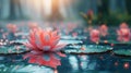 Miraculous Lotus Flower on Water with Defocused Waterlilies in Background - Concept of Magic and Beauty