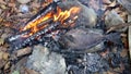 Grilled Fish in the Wilderness