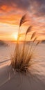 Beige Sunrise: Fine Art Photography Of Romantic Seascapes