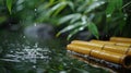 Serene Bamboo Stalks on Reflecting Water