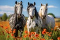 Majestic Arabian, Friesian, and Andalusian Horses Gracefully Grazing in Sunlit Meadow