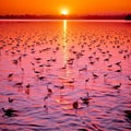 Flocking Flamingos at Sunset