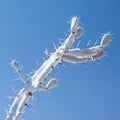 Abstract Cactus Branch Sculpture Inspired By Harry Styles