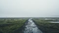 Mystical Wetland Path In Foggy Iceland
