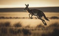 A side view a kangaroo mid-air as it jumps across the blurred grasslands, an iconic Australian animal, generative AI