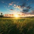 Semi-realistic Sunrise Scene With Tall Grass