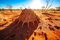 Termites Citadel in the Desert