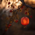 Chinese Lantern at Sunset