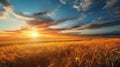 Stunning Photorealistic Sunset Over Wheat Field - National Geographic Style