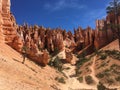 Stunning picture of Bryce Canyon in summer