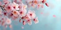 Stunning Pink Blossom Branch A Springtime Delight Royalty Free Stock Photo