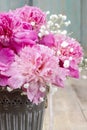 Stunning pink peonies in silver bucket Royalty Free Stock Photo