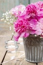 Stunning pink peonies in silver bucket Royalty Free Stock Photo