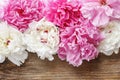 Stunning pink peonies, yellow carnations and roses Royalty Free Stock Photo