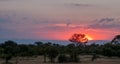 Stunning pink and red sunset at Sabi Sands Game Reserve, Kruger, South Africa.