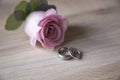 Stunning platinum wedding rings on a pale ash wood background with pink rose buttonhole