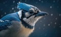 Portrait of a blue jay in snow with particle in the air generative AI