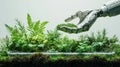 Exploring the Revolutionary Synergy Between Robots and Plants Through Artificial Intelligence and Automation Royalty Free Stock Photo