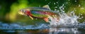 The stunning rainbow trout leaps dramatically above the sparkling water's surface. AI generated image Royalty Free Stock Photo