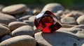 Pear-Shaped Red Garnet Gemstone Displayed on Textured River Stone Surface in Natural Light Royalty Free Stock Photo