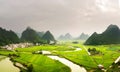 Stunning rice field view with karst formations China Royalty Free Stock Photo