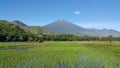 Stunning Rice Fields at Sembalun Village Lombok Island