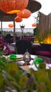 Lush Greenery and Lights in Marrakech
