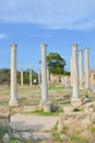 Stunning ruins of ancient Greek city Salamis located in todays Northern Cyprus. The white pillars were part of Salamis Gymnasium