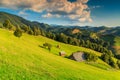 Stunning rural landscape near Bran,Transylvania,Romania,Europe