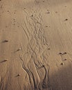 Stunning sandy beach with a unique, intricate pattern of lines and swirls sculpted into the sand