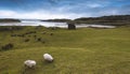 Scenics of Galway in Ireland with mountains seascape castles and rainbows fine art photography Royalty Free Stock Photo