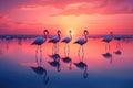 A stunning scene of a group of flamingos standing in the water, bathed in the warm colors of a sunset, A flock of flamingos