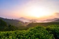 Stunning scenery of Cameron Highland sunrise located in Malaysia,