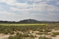 Stunning Scennic Grasslands with a Large Field in the Badlands