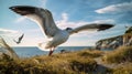 Stunning Seagull Flight Photo With Lens Flare: Coastal Views And Bold Angular Composition