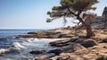 Lively Coastal Landscapes: Mediterranean Style Rocky Cliff With Tree