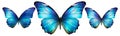 Stunning Set of Blue Butterflies with Gradient Colors on Transparent Background