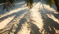 The stunning shadows of palm trees on warm sandy ground. Royalty Free Stock Photo