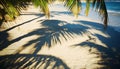 The stunning shadows of palm trees on warm sandy ground. Royalty Free Stock Photo