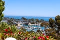 A stunning shot of the boats and yachts docked and sailing Dana Point Harbor with deep blue ocean water, lush green plants Royalty Free Stock Photo