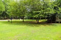 A stunning shot of a brown long cabin surrounded by lush green grass and lush green trees and fallen autumn leaves Royalty Free Stock Photo